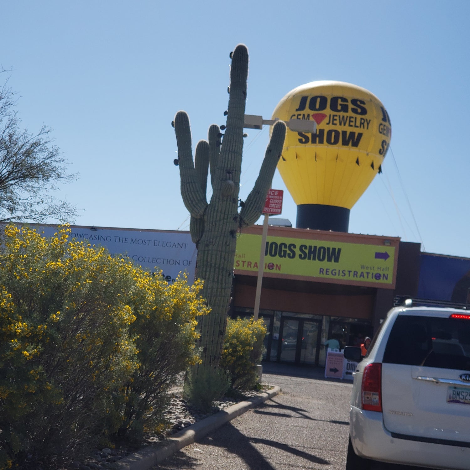 Large yellow sign with 'Jog's Jewelry Show' branding in front of a building with similar signage, with a cactus and blue sky in the background.
