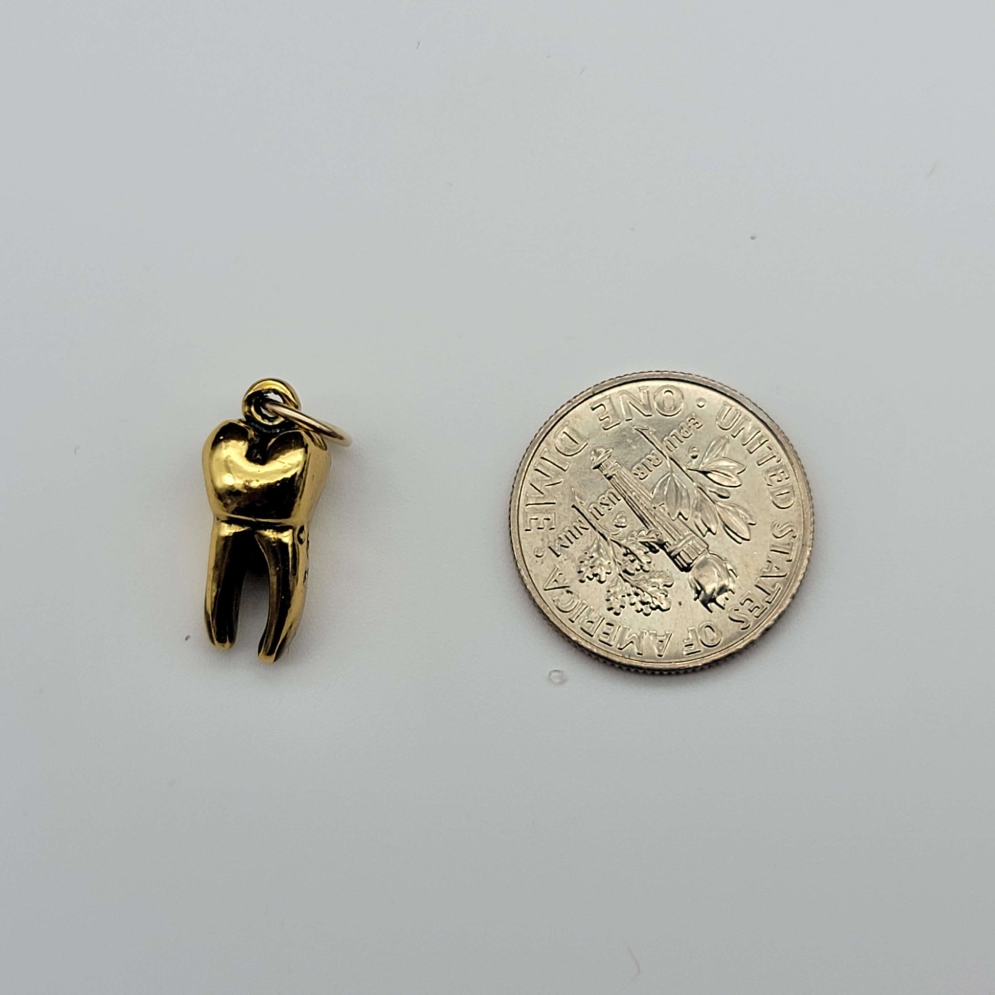 Gold tooth pendant charm on a silver necklace
