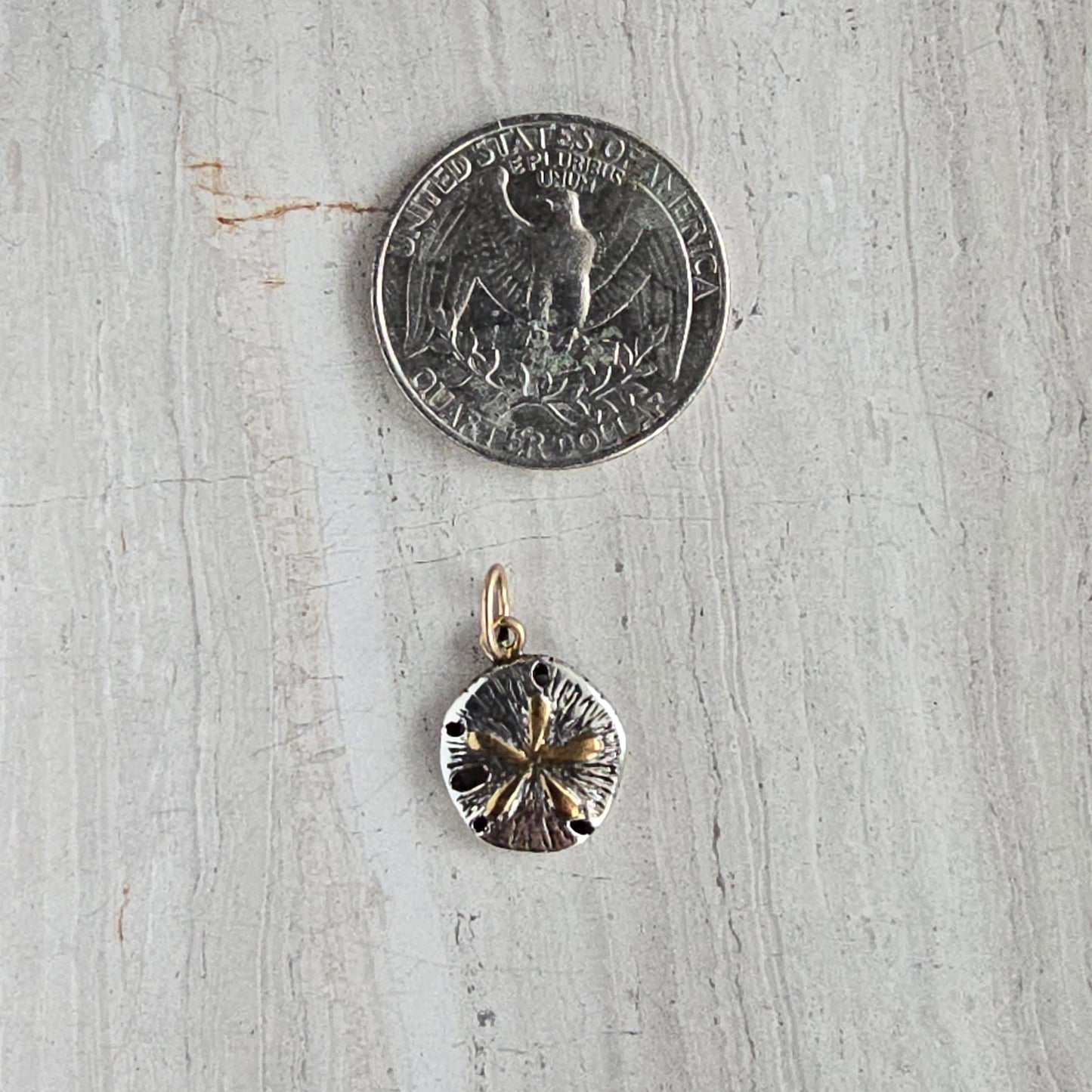 silver and gold sand dollar charm