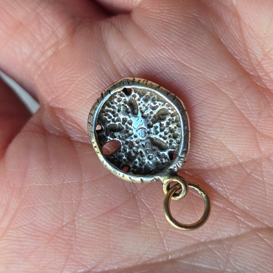 back of a sandollar charm